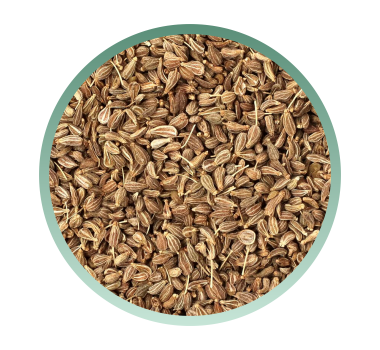 herbcare ingrediente, herbcare natural, adesivo natural parar de fumar, niquitin, niquitim, antifumo herbcare, herbicare, como parar de fumar, adesivo parar de fumar