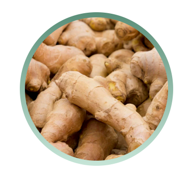 herbcare ingrediente, herbcare natural, adesivo natural parar de fumar, niquitin, niquitim, antifumo herbcare, herbicare, como parar de fumar, adesivo parar de fumar