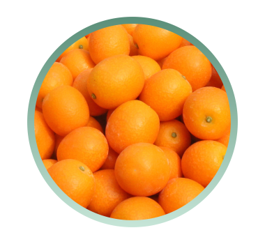 herbcare ingrediente, herbcare natural, adesivo natural parar de fumar, niquitin, niquitim, antifumo herbcare, herbicare, como parar de fumar, adesivo parar de fumar