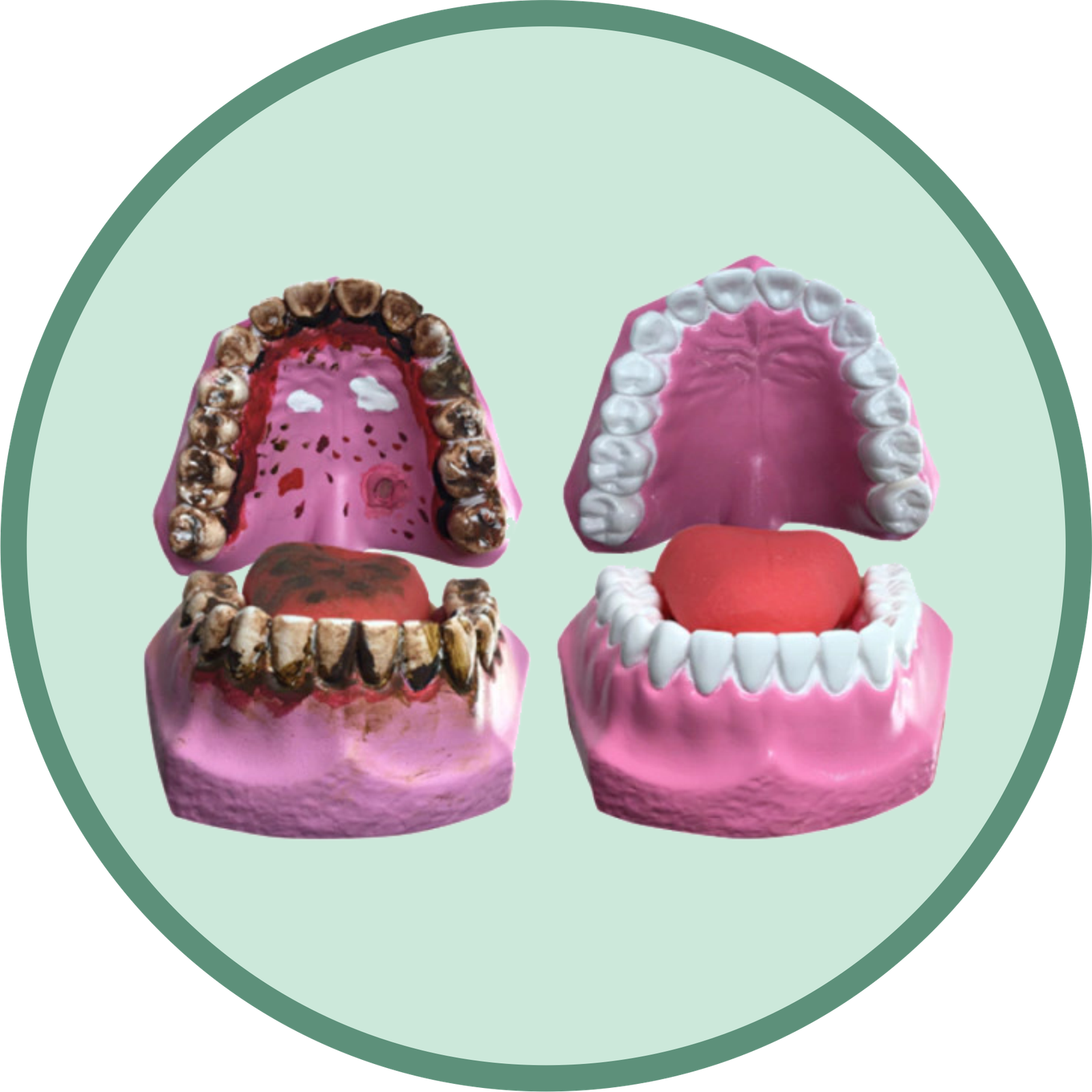 como parar de fumar, largar o cigarro, vicio fumar, herbcare, herbcare natural, adesivo natural parar de fumar, adesivo parar de fumar, herbcare, adesivo herbcare, herbcare patch